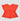 Women Embroidered Top