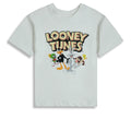 Loony Tunes Crew Neck T-Shirt for Boy - Quill Grey - MEME