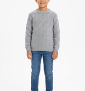 Light grey diamond knit boys sweater with crew neck and long sleeves