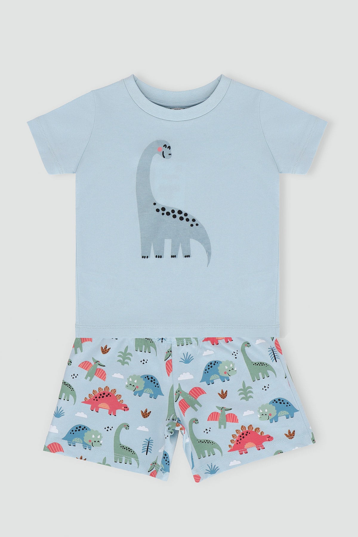 Baby Boy Short And Shirt Set