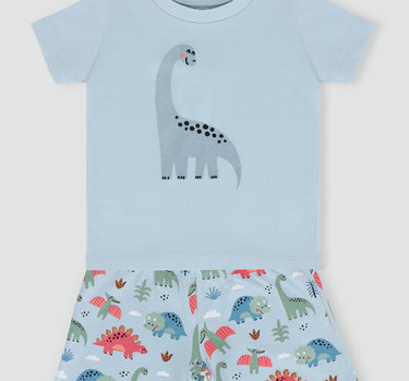 Baby Boy Short And Shirt Set 