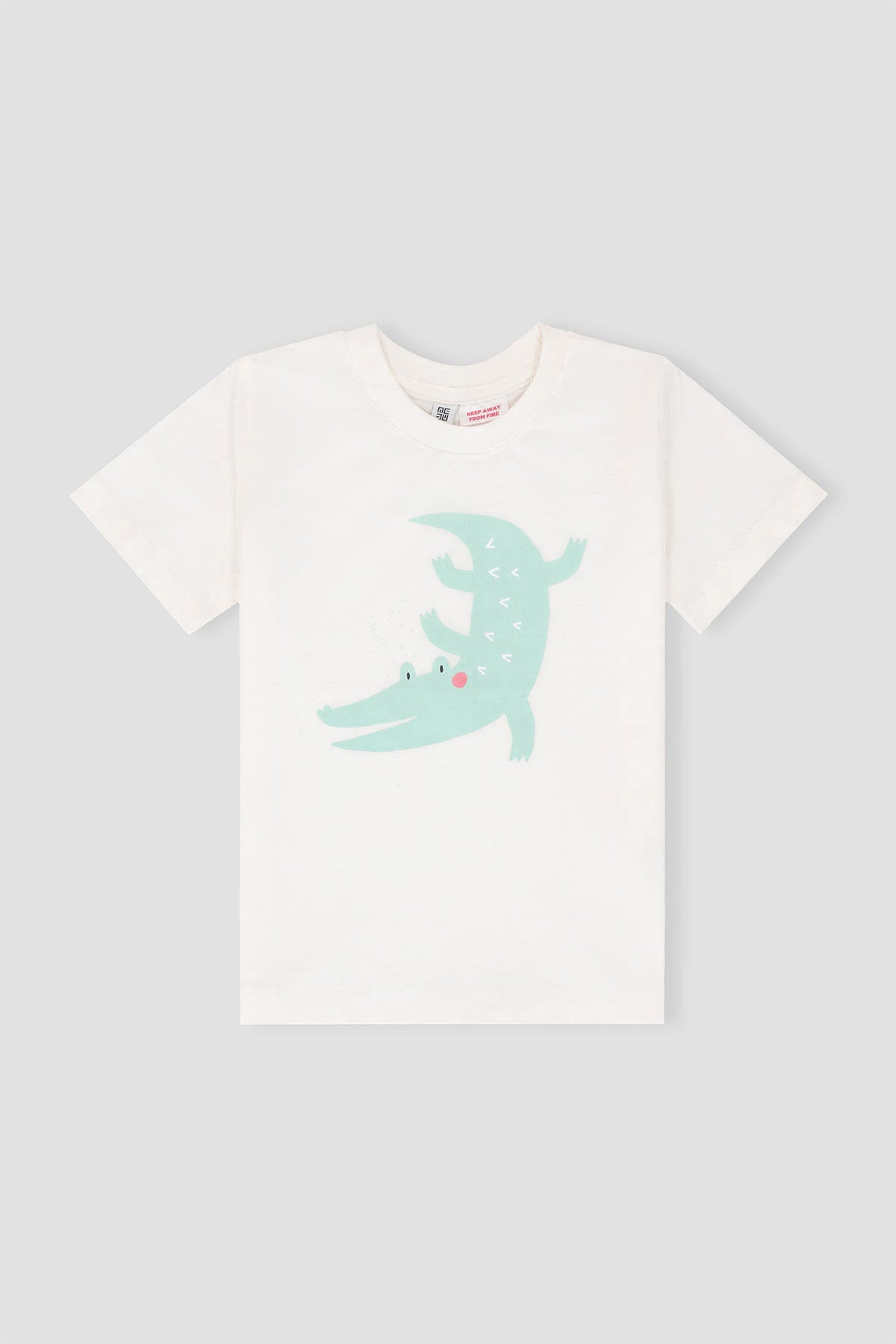 Baby Boy Graphic T-shirt & Short Set