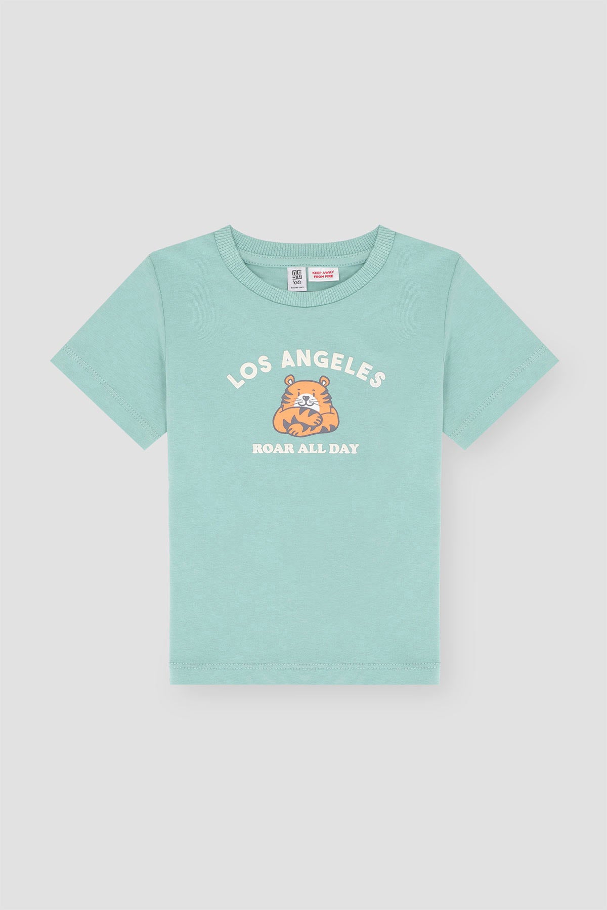 Baby Boy Graphic T-shirt