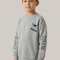 Graphic Sweatshirt For Boys - Grey - MEME