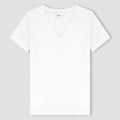 Women Solid V neck 