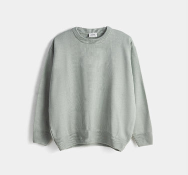 Crew Neck Sweatshirt for Women - Grey 