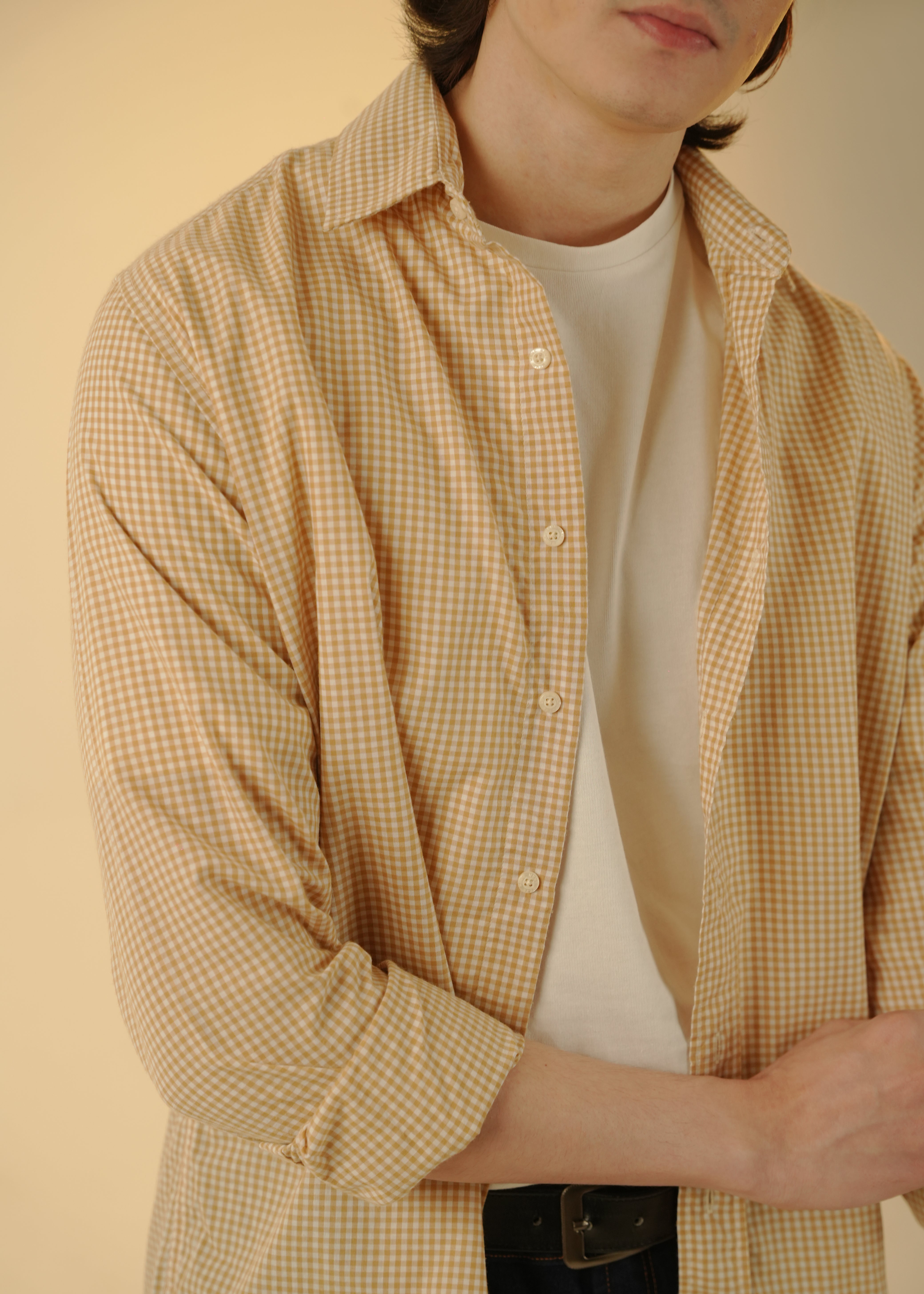 Check Button Down Shirt For Men -  Beige 