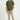 Shirt for Men - Khaki - MEME