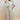 Striped Co-Ord Set for Women- Cream - MEME