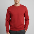 Sweatshirt For Men - Teja - MEME