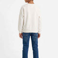 Boys ecru sweatshirt back view, crew neck and ribbed cuffs