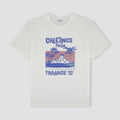 Men Graphic Tshirt 