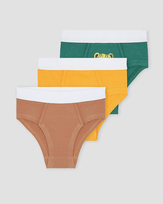 Assorted Brief Pack Of 3 