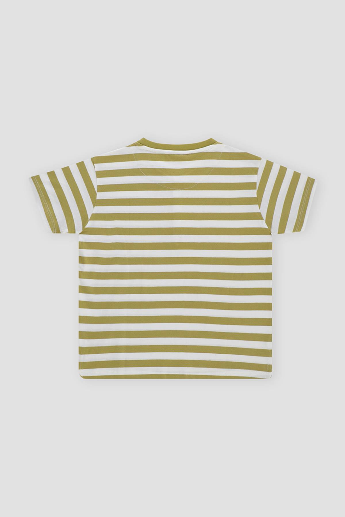 Striped Henley T-Shirt