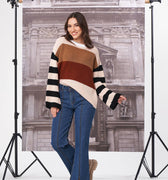 Colorblock Sweater 