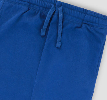 Solid Jogger Pant For Women - Blue 